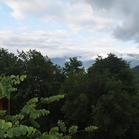 Mars Otel Artvin Exterior foto