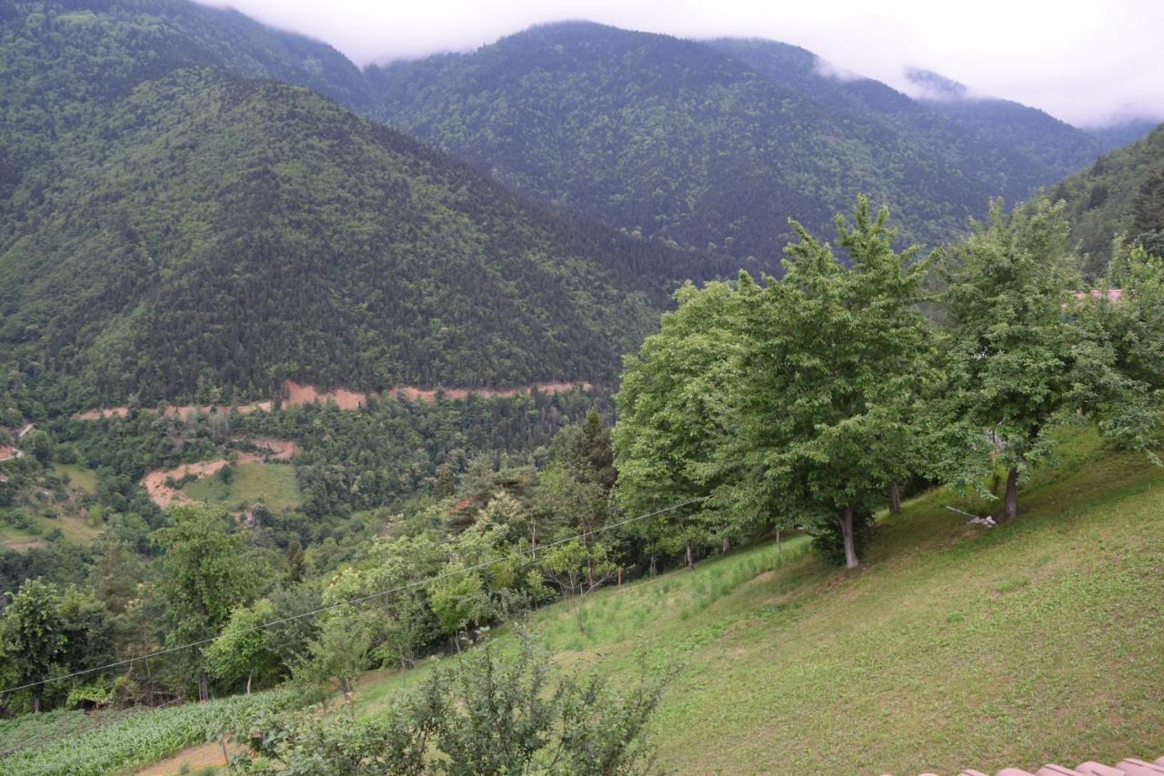 Mars Otel Artvin Exterior foto