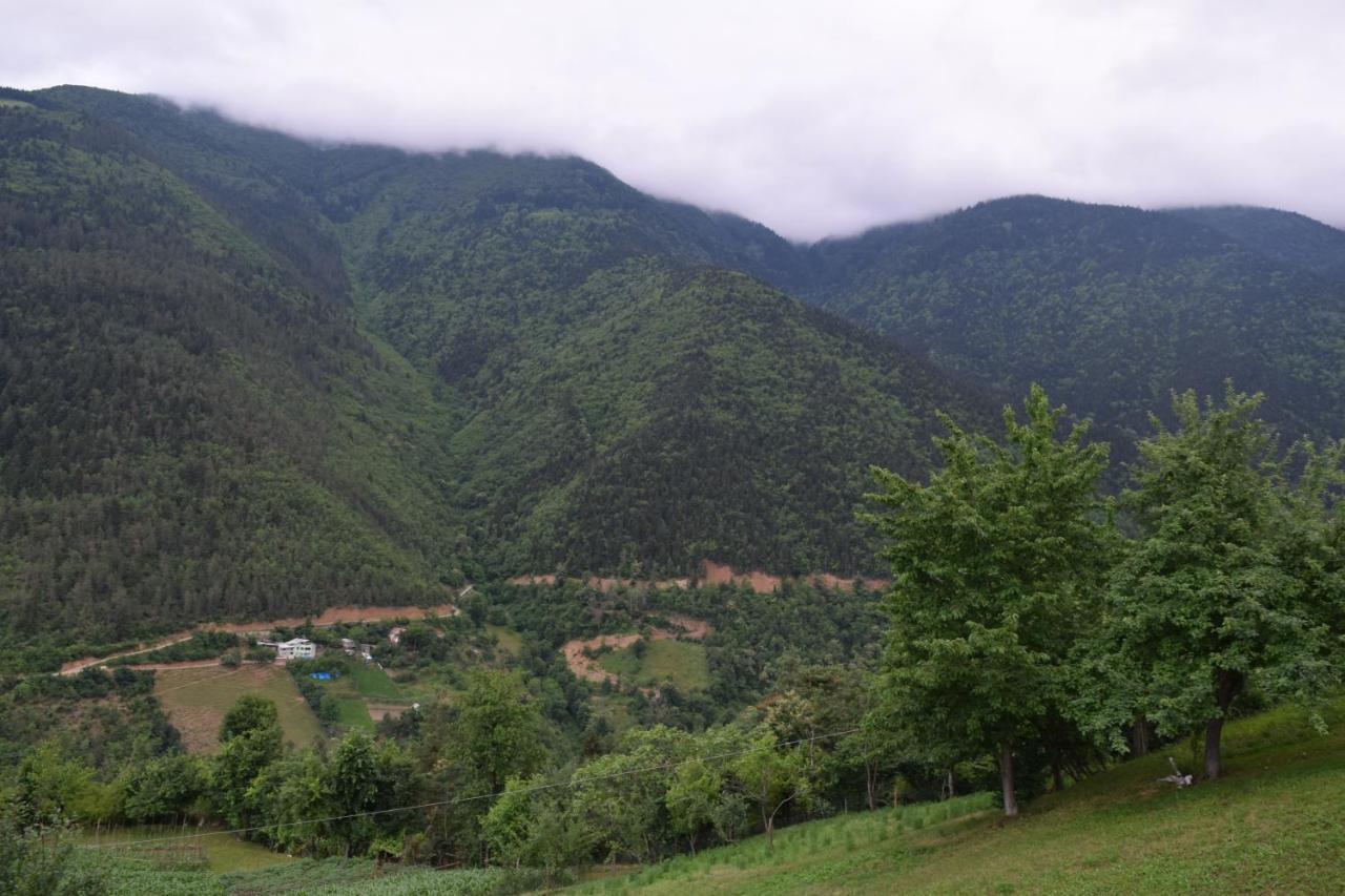 Mars Otel Artvin Exterior foto